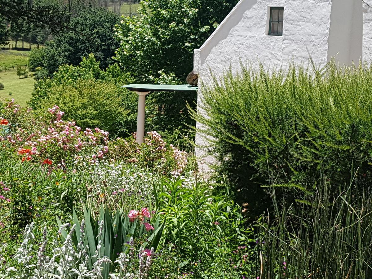24 Valley Rose Cottage Underberg Exterior foto